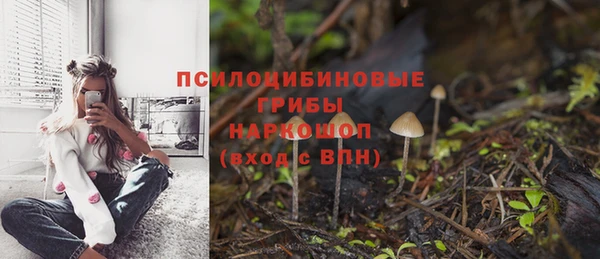 jwh Алзамай