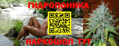 кокс Гусь-Хрустальный