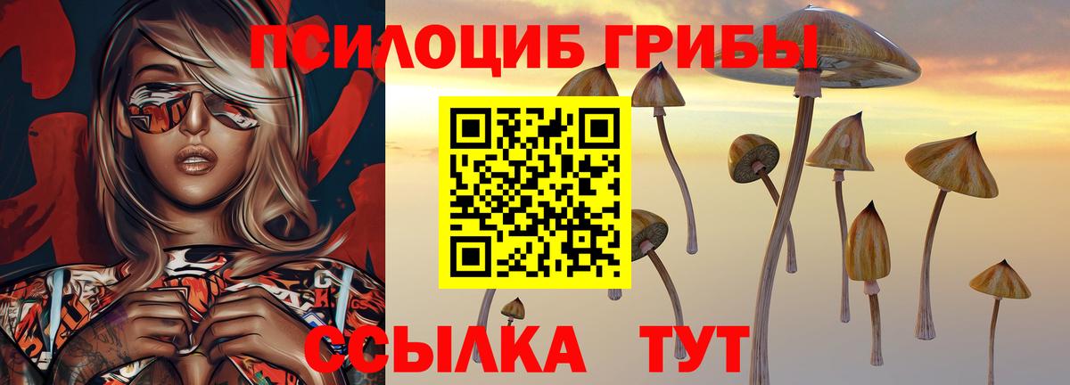 Галлюциногенные грибы ЛСД Сыктывкар