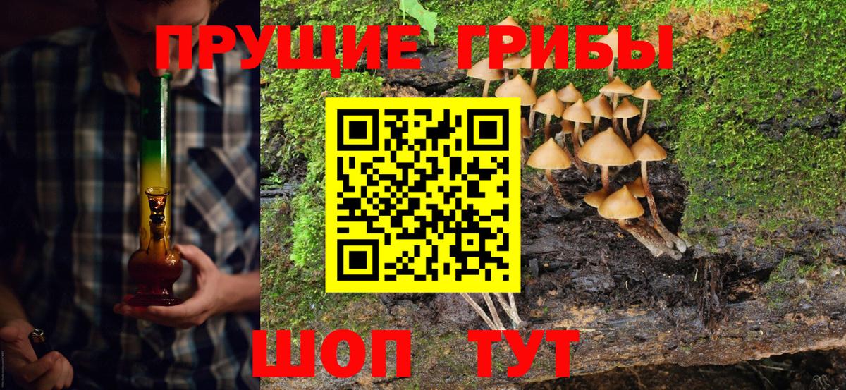 Сыктывкар  Псилоцибиновые грибы Psilocybine cubensis  Вход с VPN 