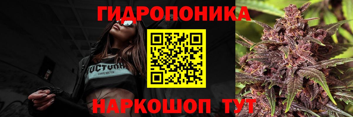 МАРИХУАНА сатива Сыктывкар